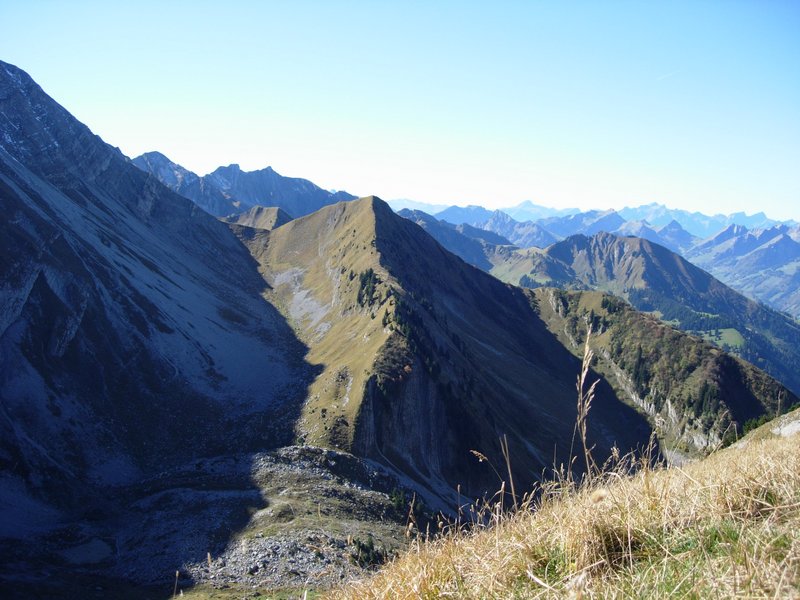 Clic ici pour voir l'image suivante