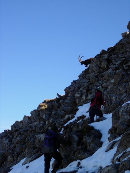 Clic ici pour voir l'image suivante