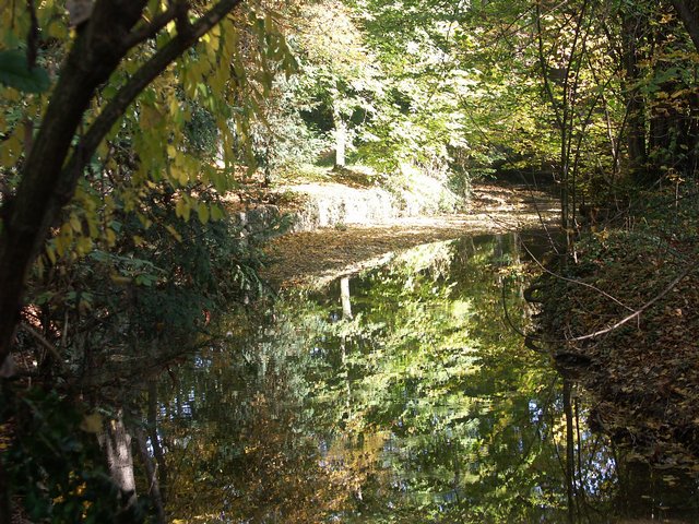 Clic ici pour voir l'image suivante