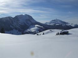 Cliquer pour agrandir l'image (2048x1536 pixels; 9216 KB)