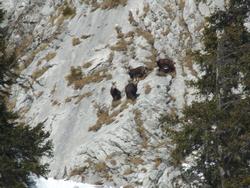 Cliquer pour agrandir l'image (1024x768 pixels; 192 KB)