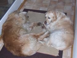 Cliquer pour agrandir l'image (800x600 pixels; 73 KB)