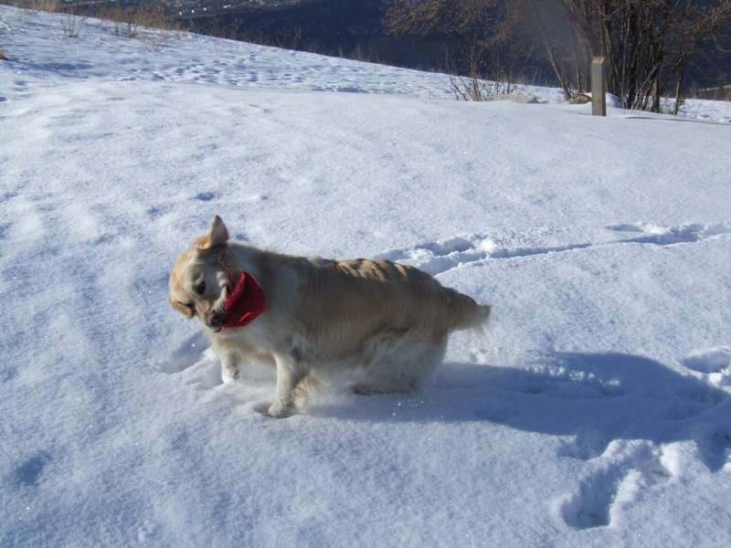 Cliquer pour voir l'image suivante