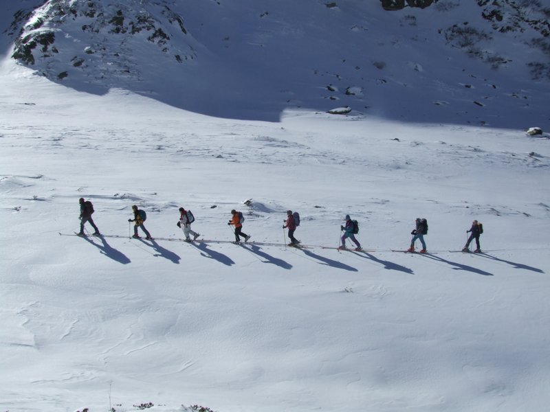 Cliquer pour voir l'image suivante