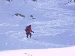 Cliquer pour agrandir l'image (800x600 pixels; 62 KB)