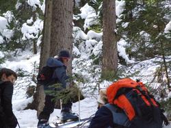 Cliquer pour agrandir l'image (800x600 pixels; 150 KB)