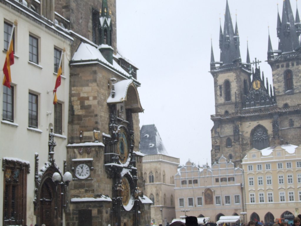 Cliquer pour voir l'image suivante