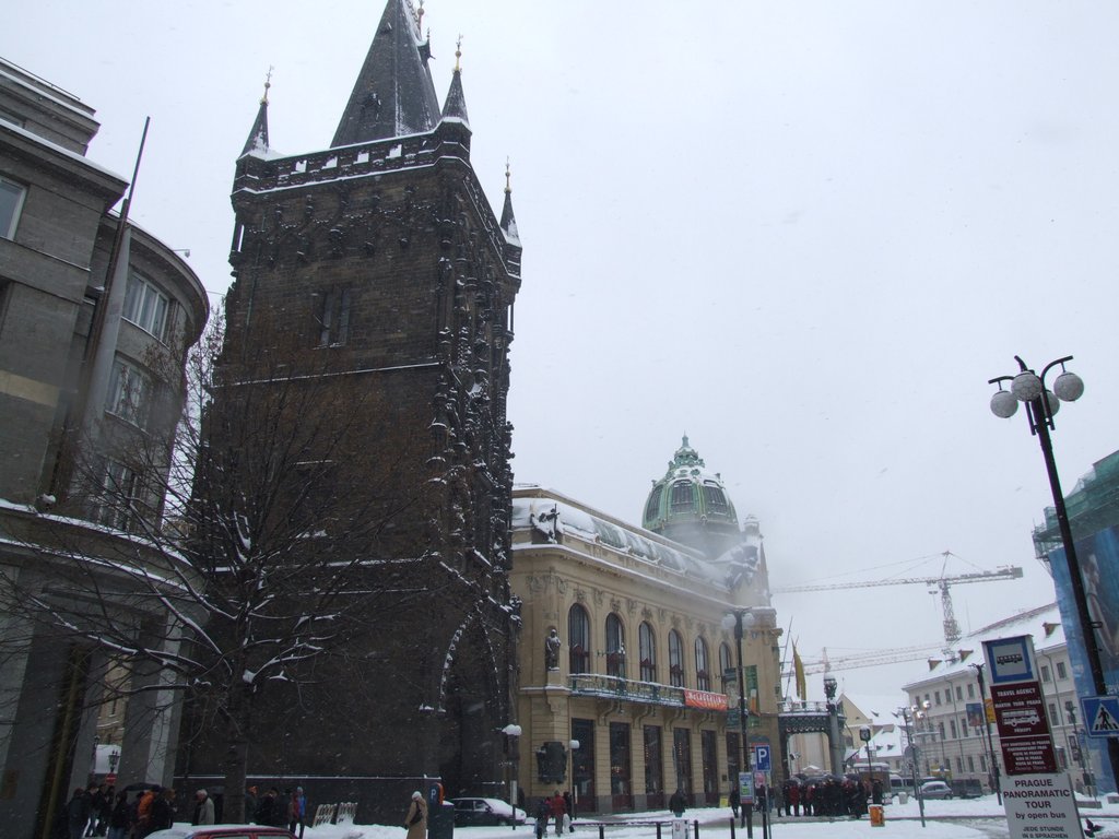 Cliquer pour voir l'image suivante