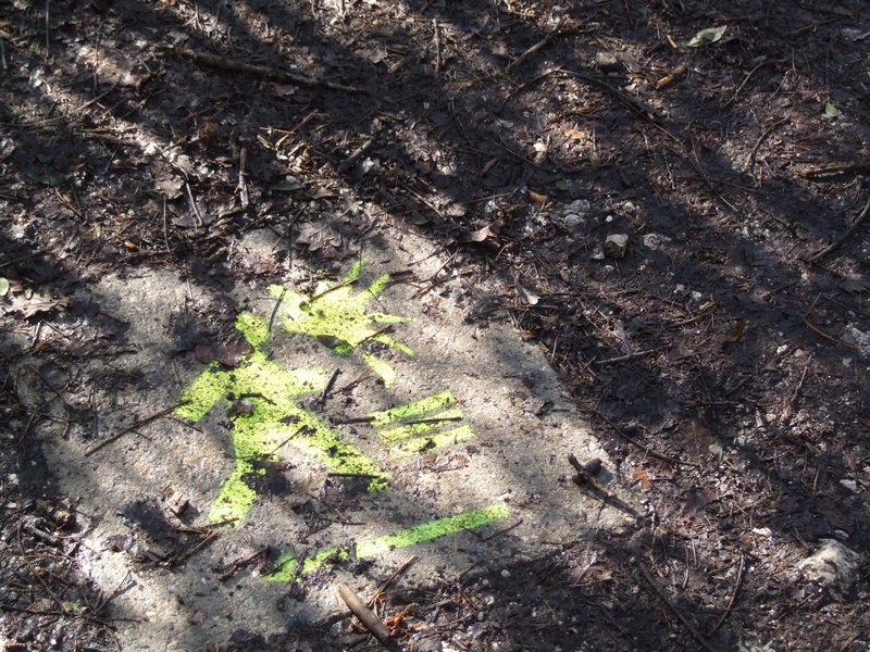 Cliquer pour voir l'image suivante