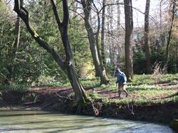 Cliquer pour agrandir l'image (800x600 pixels; 187 KB)