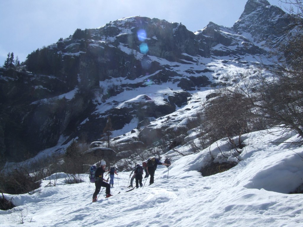 Cliquer pour voir l'image suivante