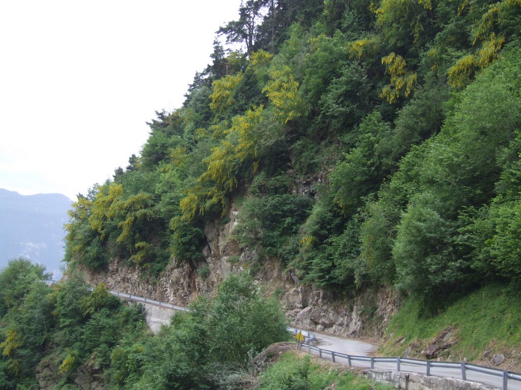 Cliquer pour voir l'image suivante