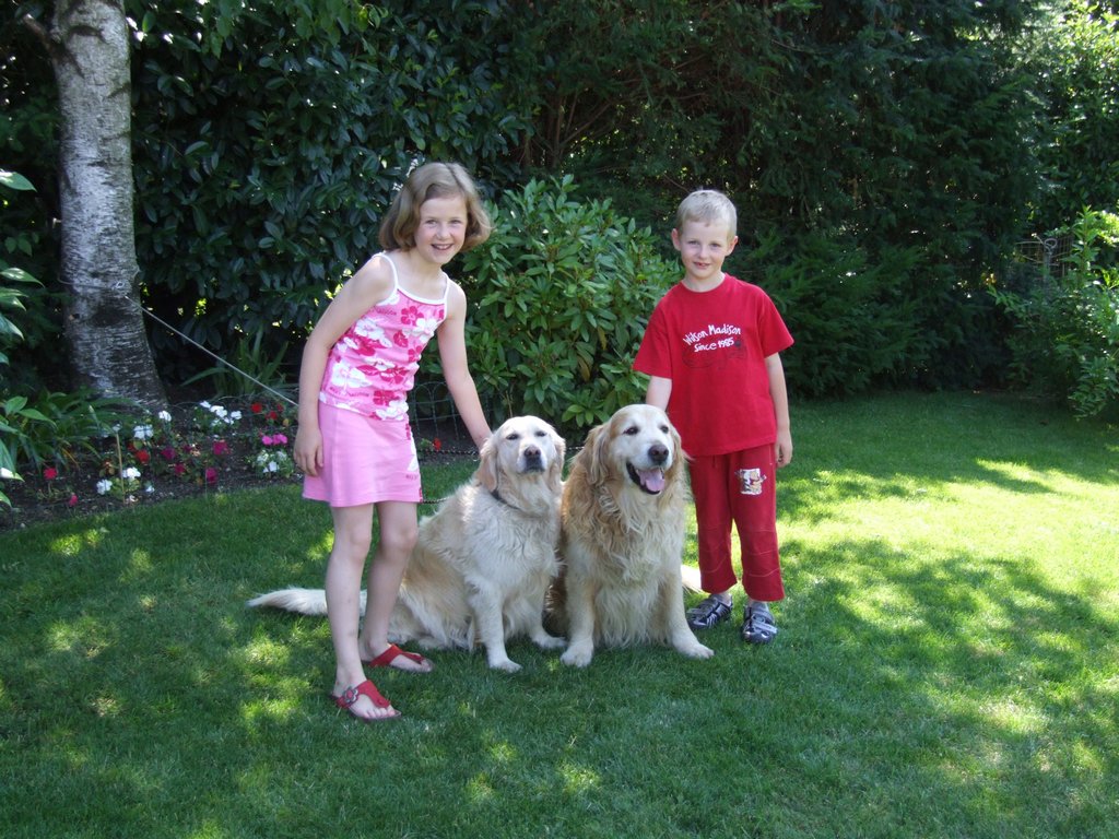 Cliquer pour voir l'image suivante