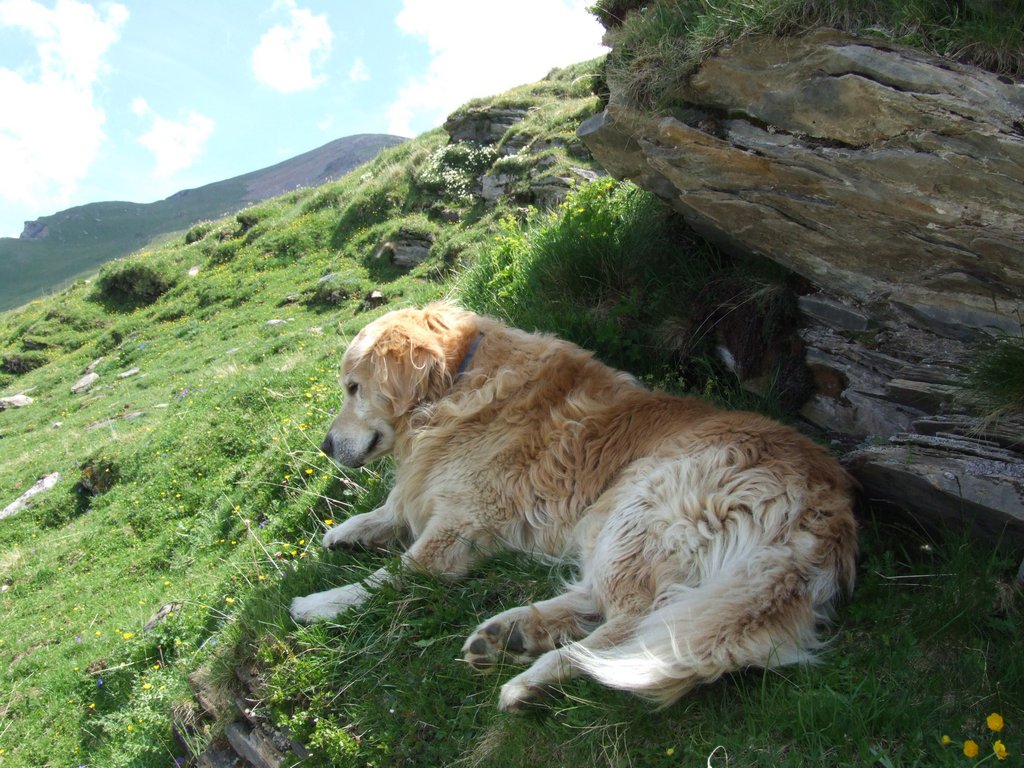 Cliquer pour voir l'image suivante