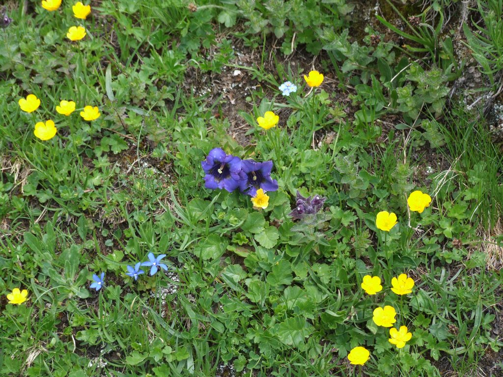 Cliquer pour voir l'image suivante