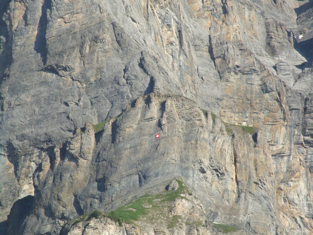 Cliquer pour voir l'image suivante