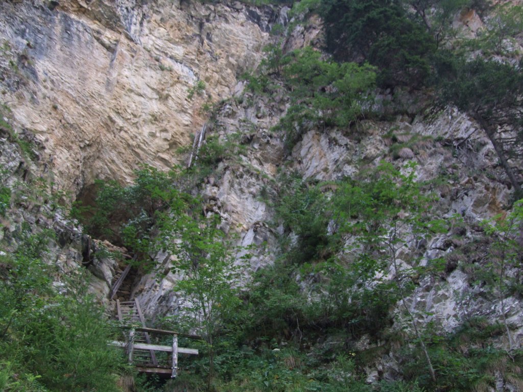 Cliquer pour voir l'image suivante