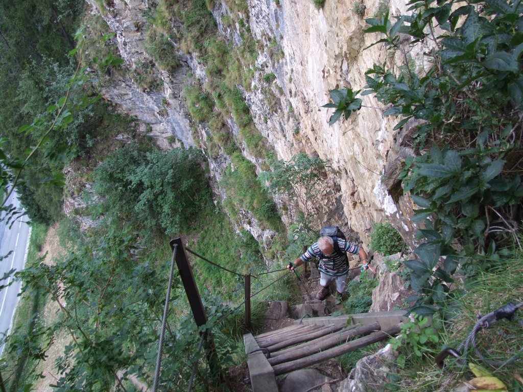 Cliquer pour voir l'image suivante