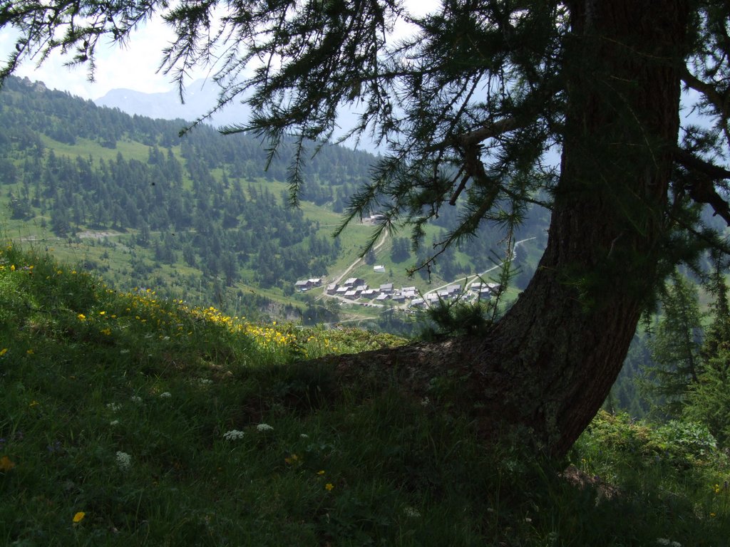 Cliquer pour voir l'image suivante