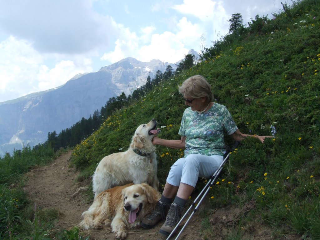 Cliquer pour voir l'image suivante