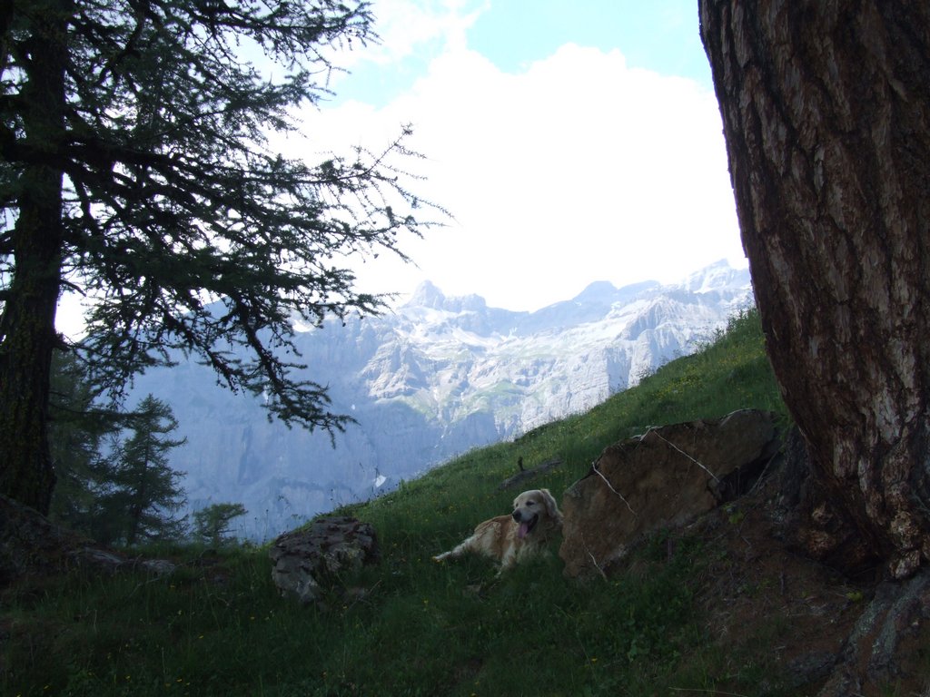 Cliquer pour voir l'image suivante