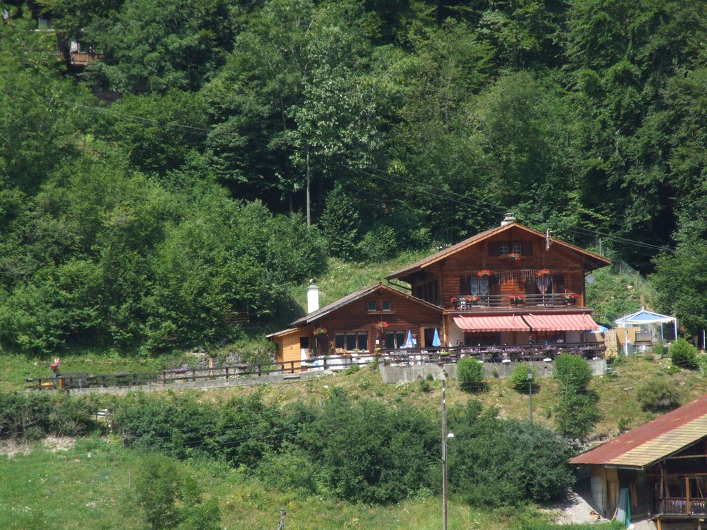 Cliquer pour voir l'image suivante