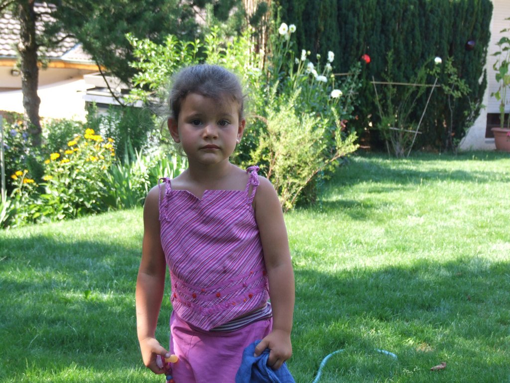 Cliquer pour voir l'image suivante