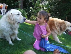 Cliquer pour agrandir l'image (1024x768 pixels; 215 KB)