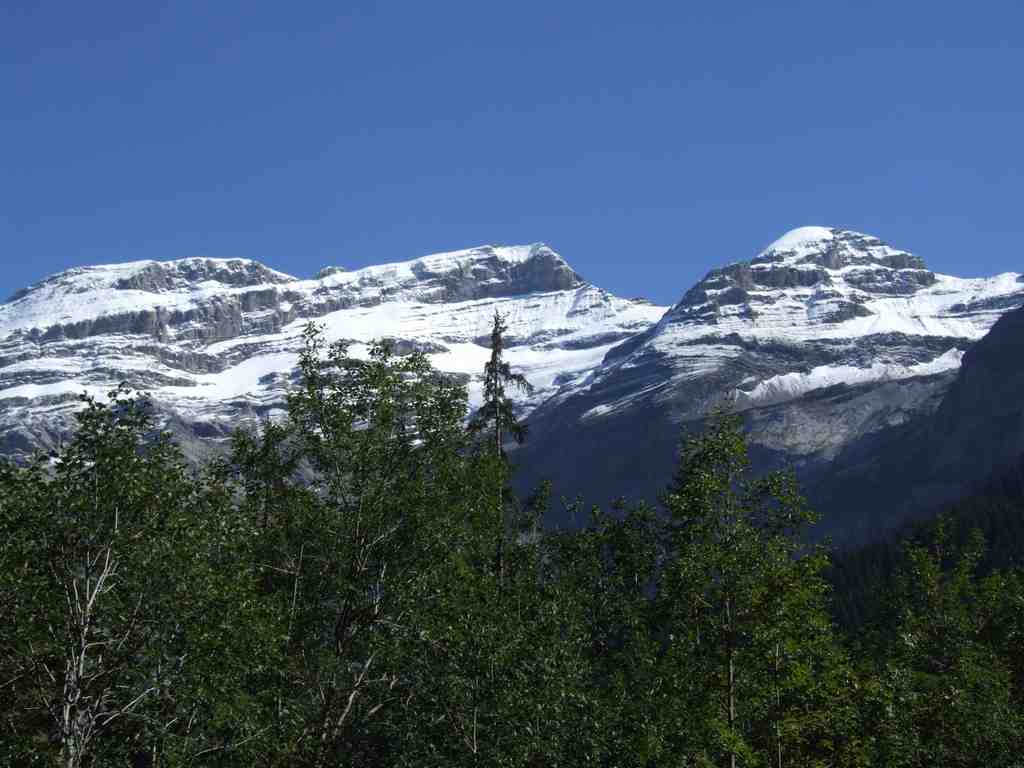 Cliquer pour voir l'image suivante