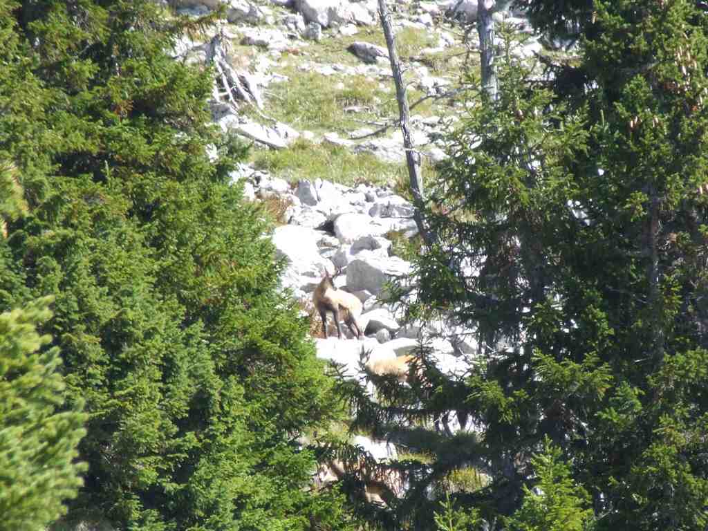 Cliquer pour voir l'image suivante