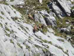 Cliquer pour agrandir l'image (1024x768 pixels; 60 KB)