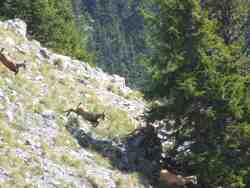 Cliquer pour agrandir l'image (1024x768 pixels; 69 KB)