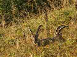 Cliquer pour agrandir l'image (1024x768 pixels; 94 KB)