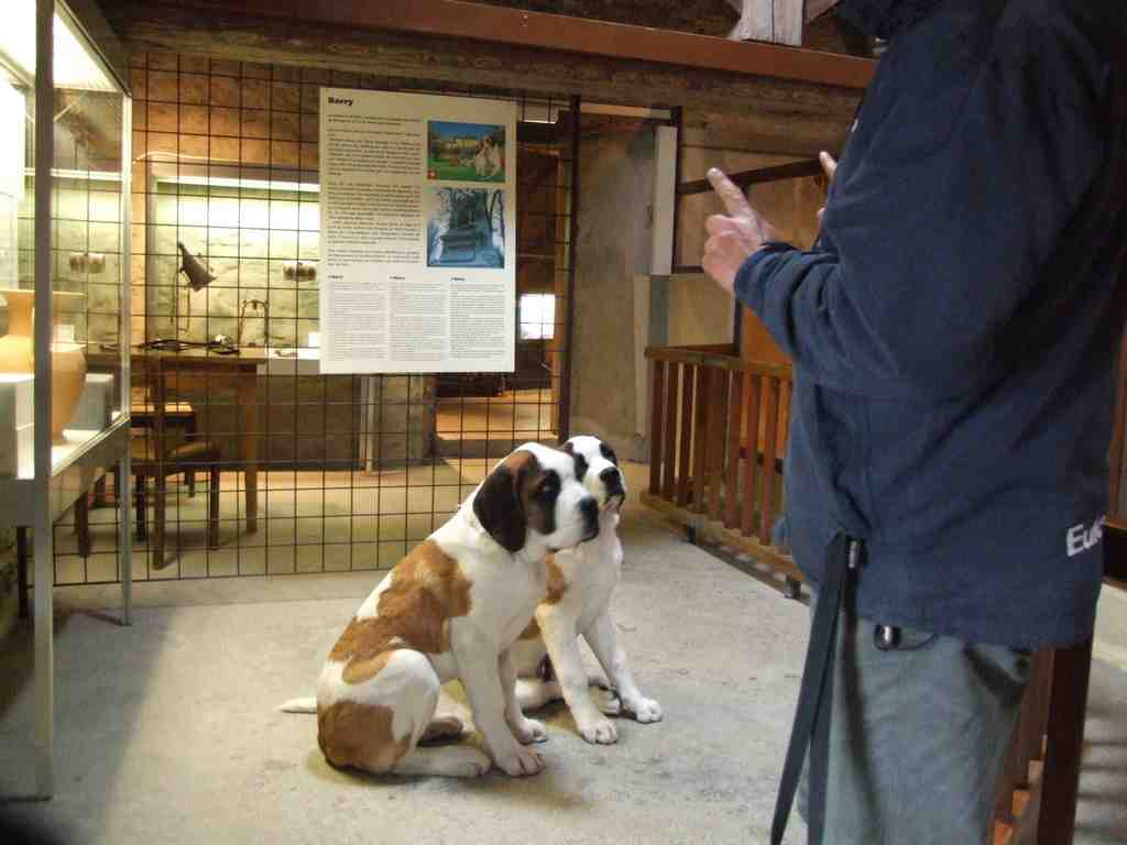 Cliquer pour voir l'image suivante