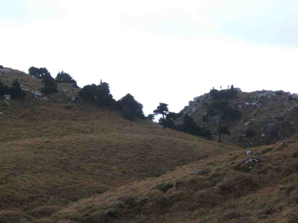 Cliquer pour voir l'image suivante