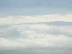 Cliquer pour agrandir l'image (1024x768 pixels; 16 KB)