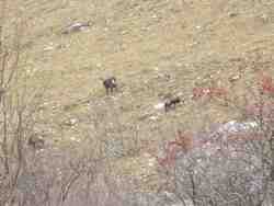 Cliquer pour agrandir l'image (1024x768 pixels; 69 KB)