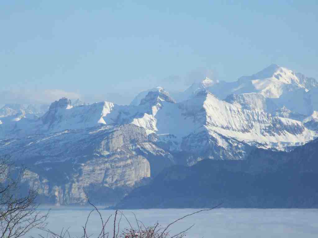 Cliquer pour voir l'image suivante