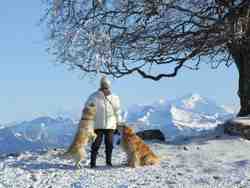 Cliquer pour agrandir l'image (1024x768 pixels; 71 KB)