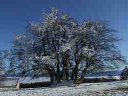 Cliquer pour agrandir l'image (1024x768 pixels; 68 KB)