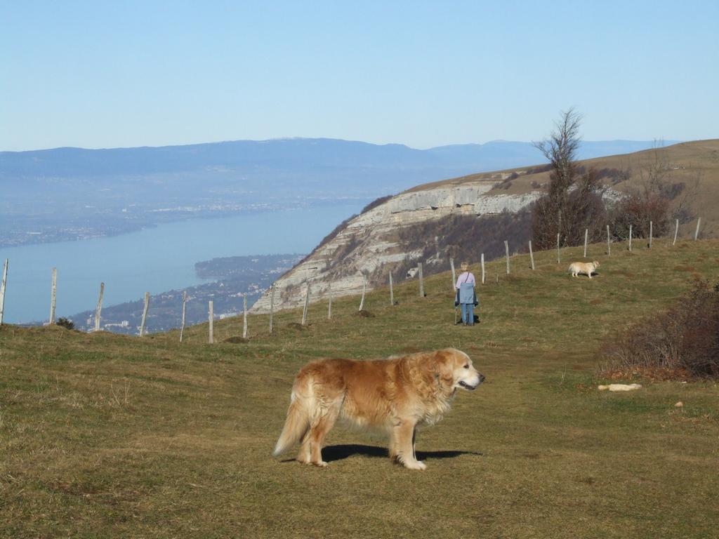 Cliquer pour voir l'image suivante
