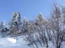 Cliquer pour agrandir l'image (1024x768 pixels; 177 KB)