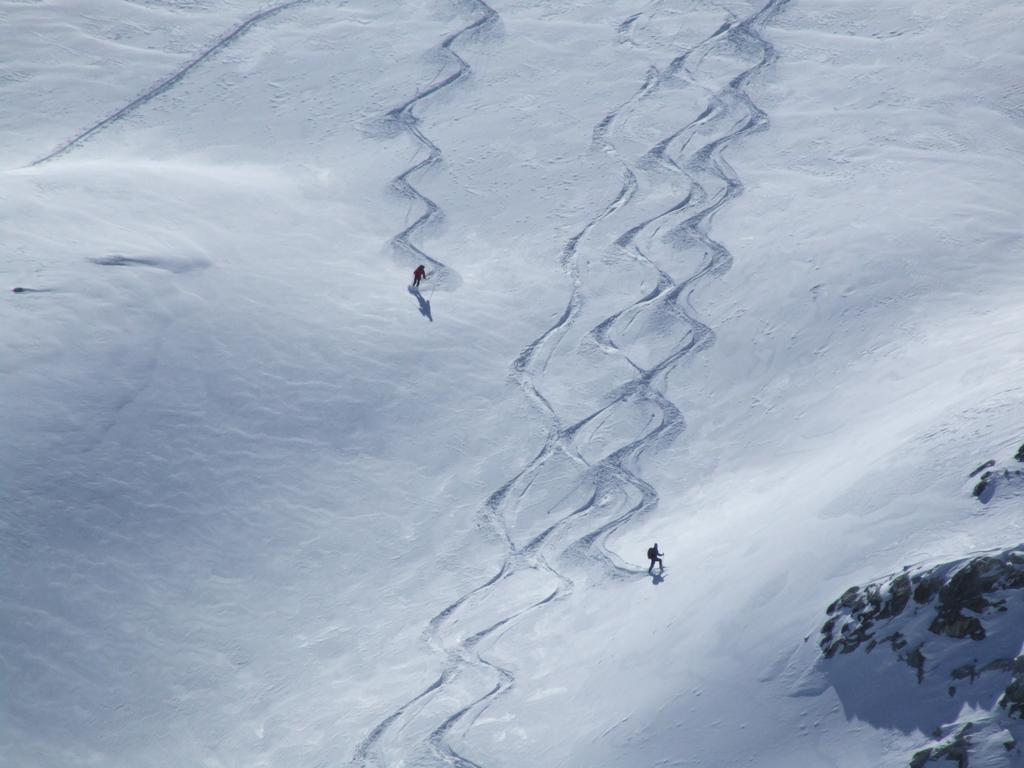 Cliquer pour voir l'image suivante