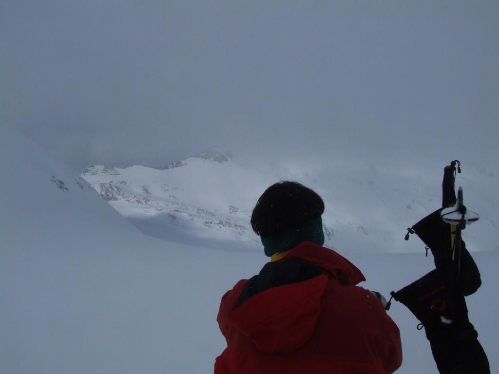 Click to see next picture