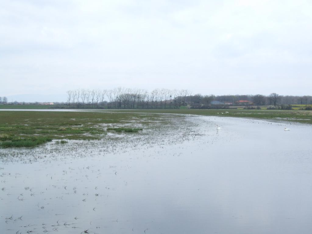 Click to see next picture