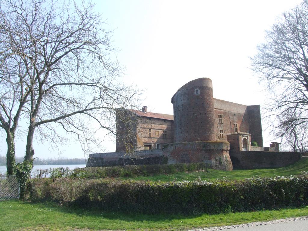 Click to see next picture