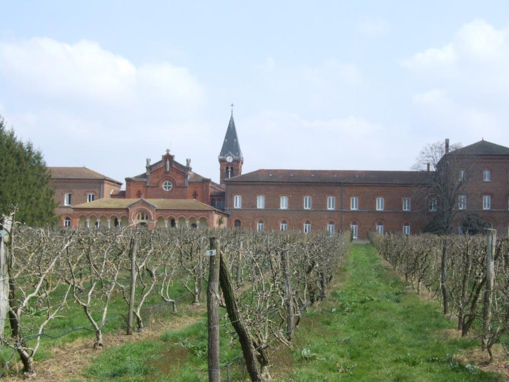 Click to see next picture