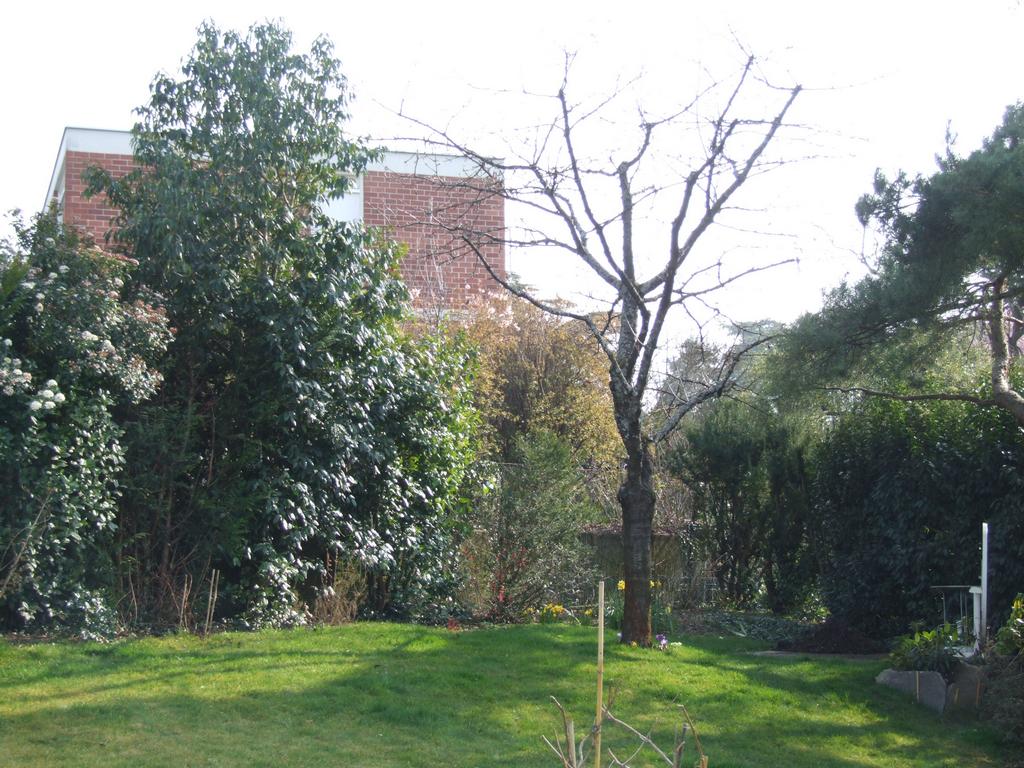 Cliquer pour voir l'image suivante