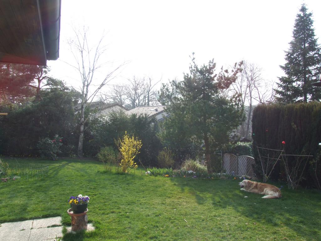 Cliquer pour voir l'image suivante