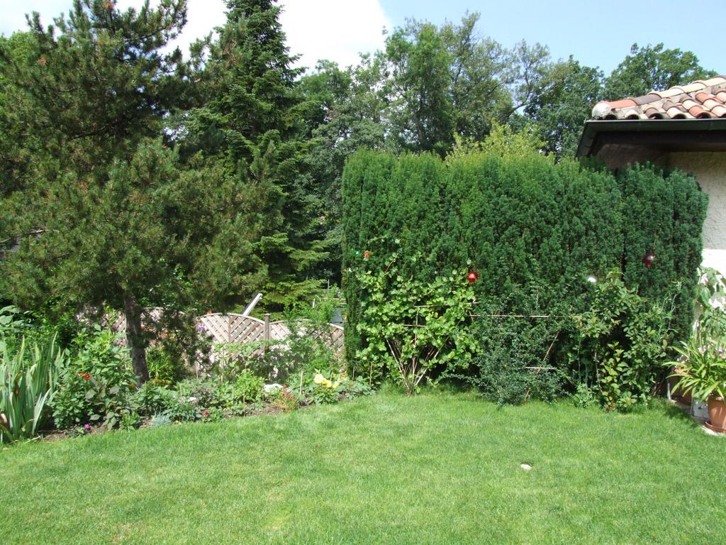 Cliquer pour voir l'image suivante